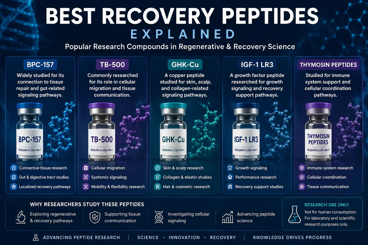 Best Recovery Peptides Explained C2 Peptides
